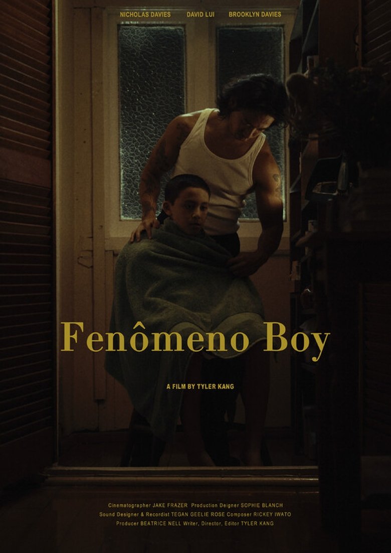 Poster of Fenômeno Boy