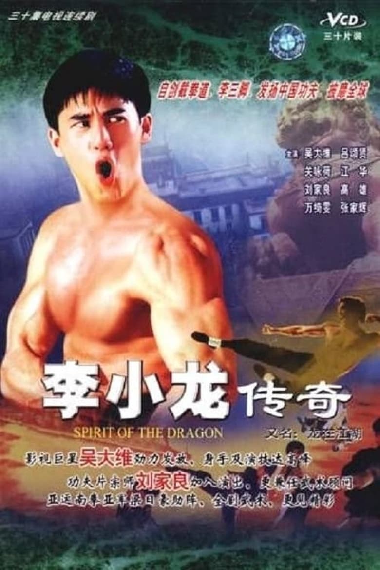 Poster of Story Of Bruce Lee