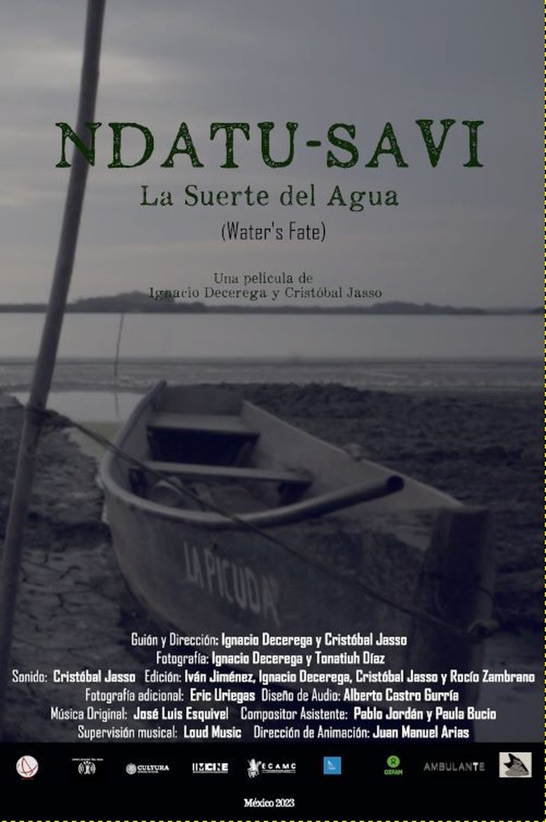 Poster of Water's Fate
