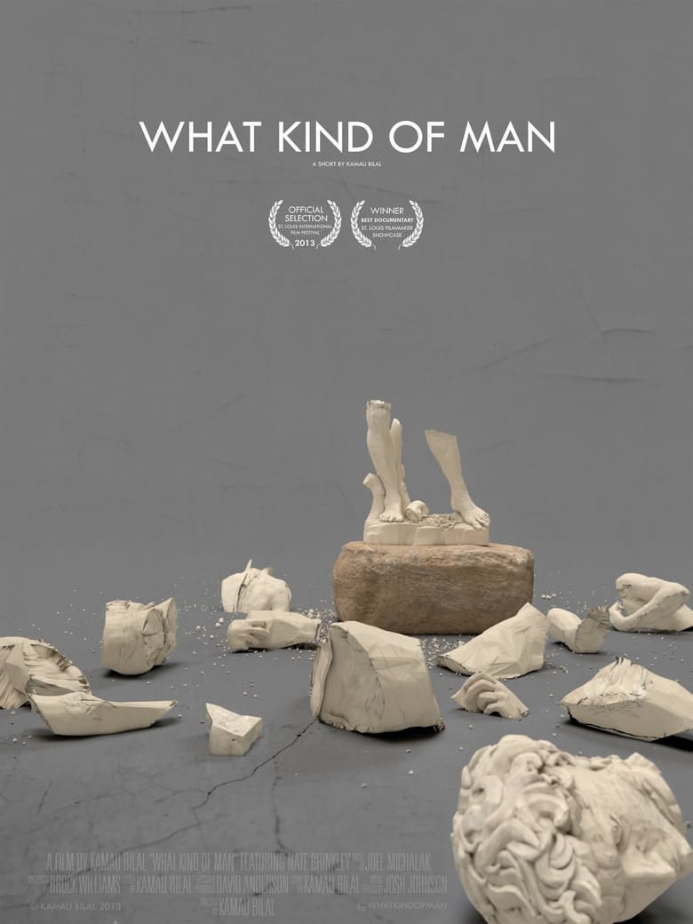 Poster of What Kind of Man