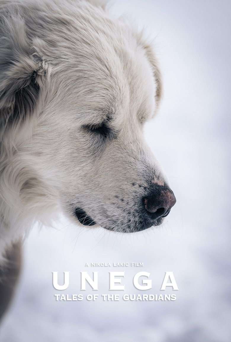 Poster of Unega | Tales Of The Guardians