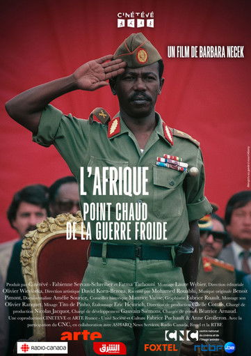 Poster of Afrique, point chaud de la guerre froide