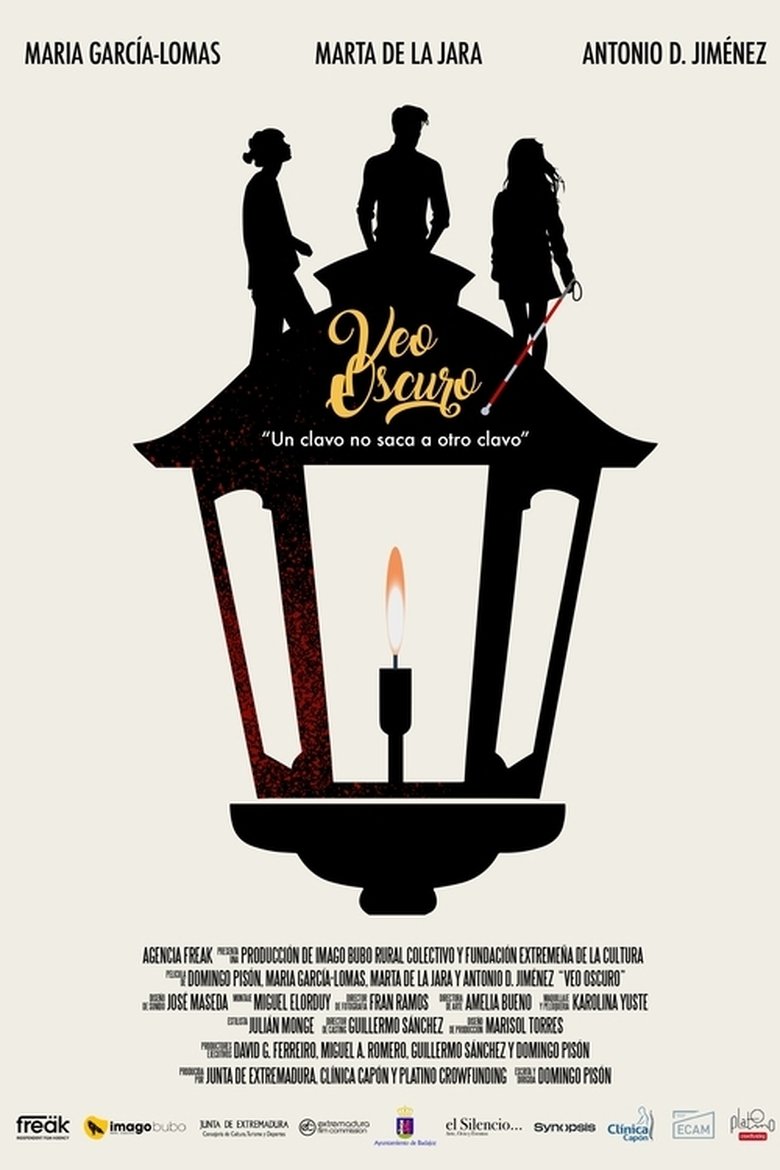 Poster of I See Dark