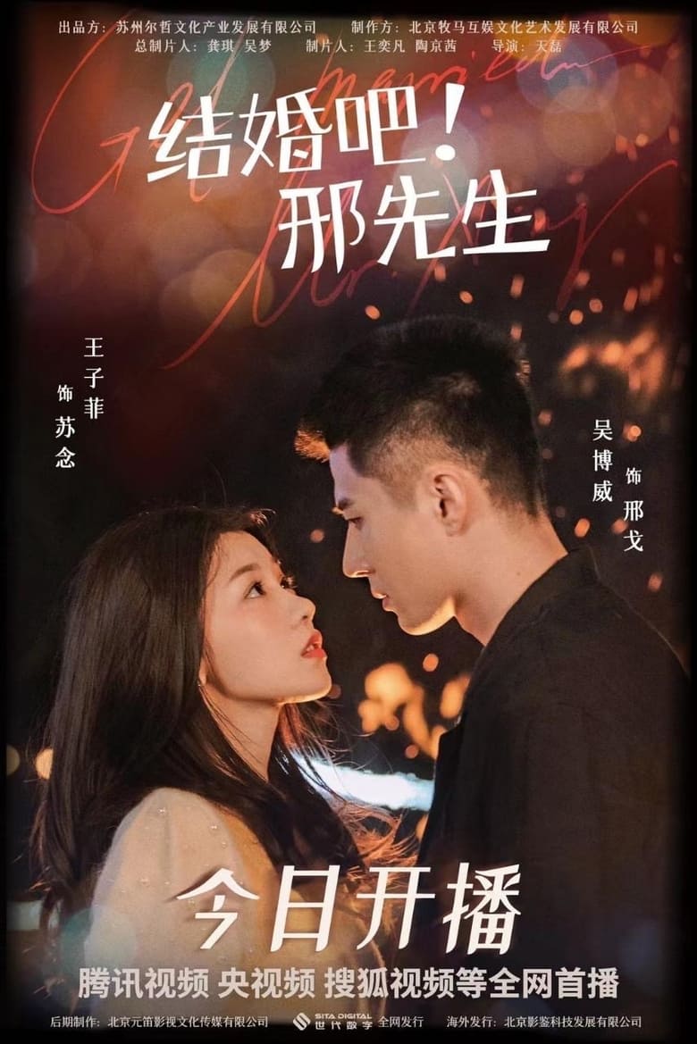 Poster of Marry Me, Mr.Xing