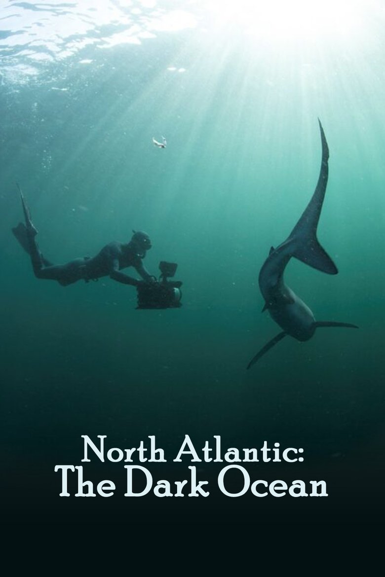 Poster of North Atlantic: The Dark Ocean