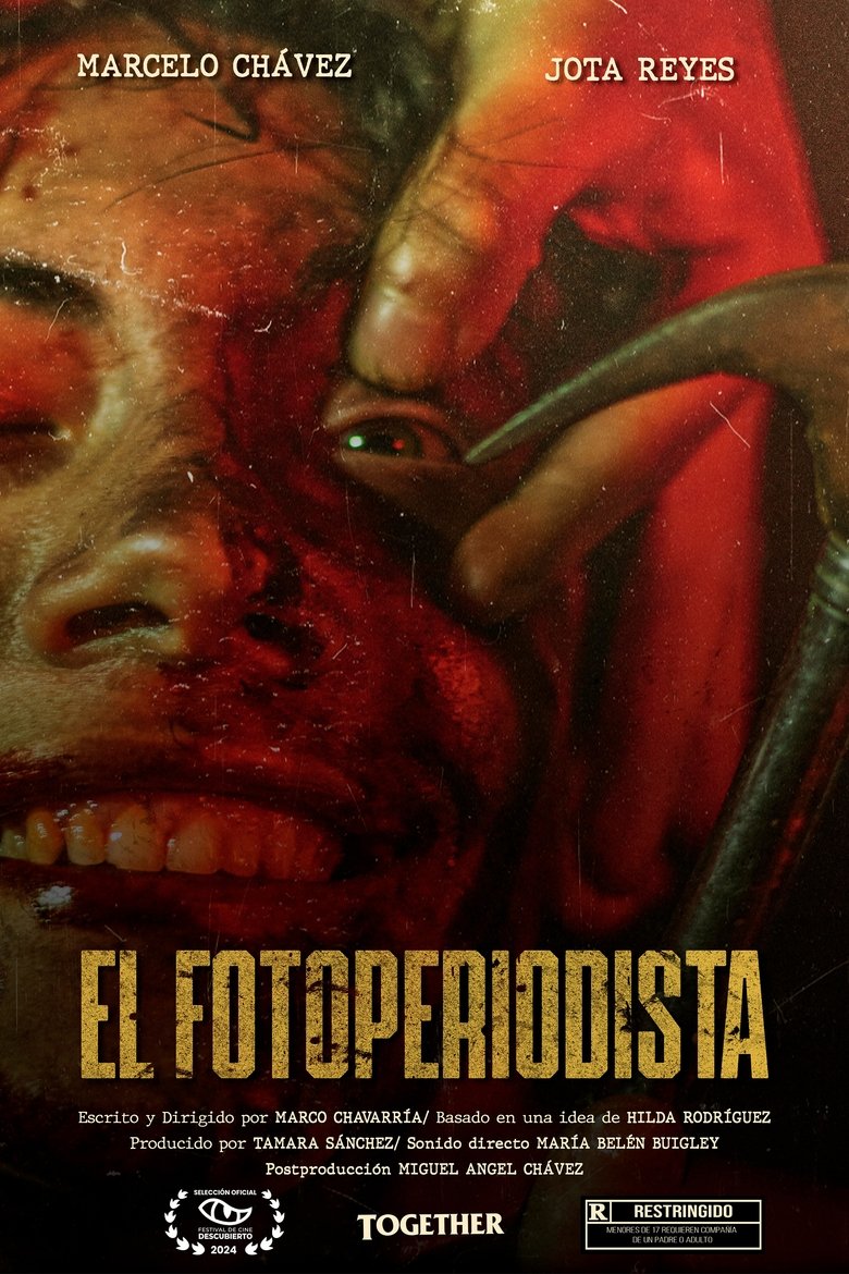 Poster of The photojournalist