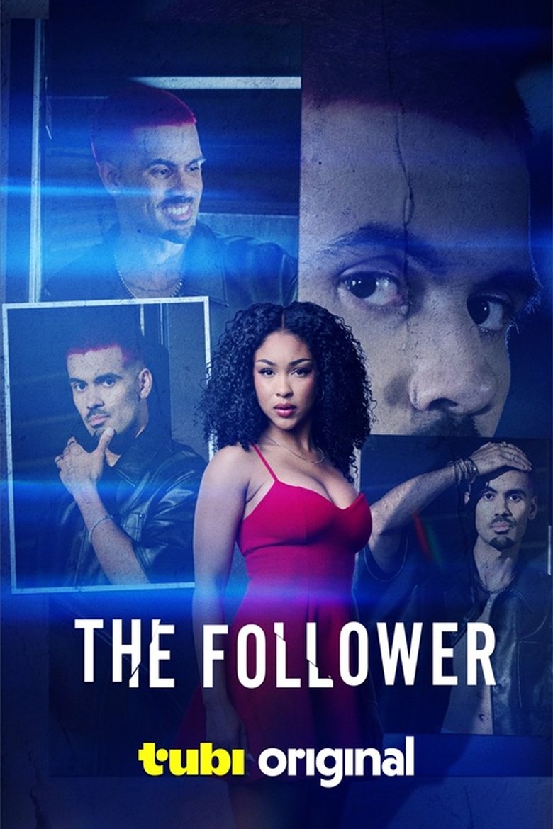 Poster of The Follower