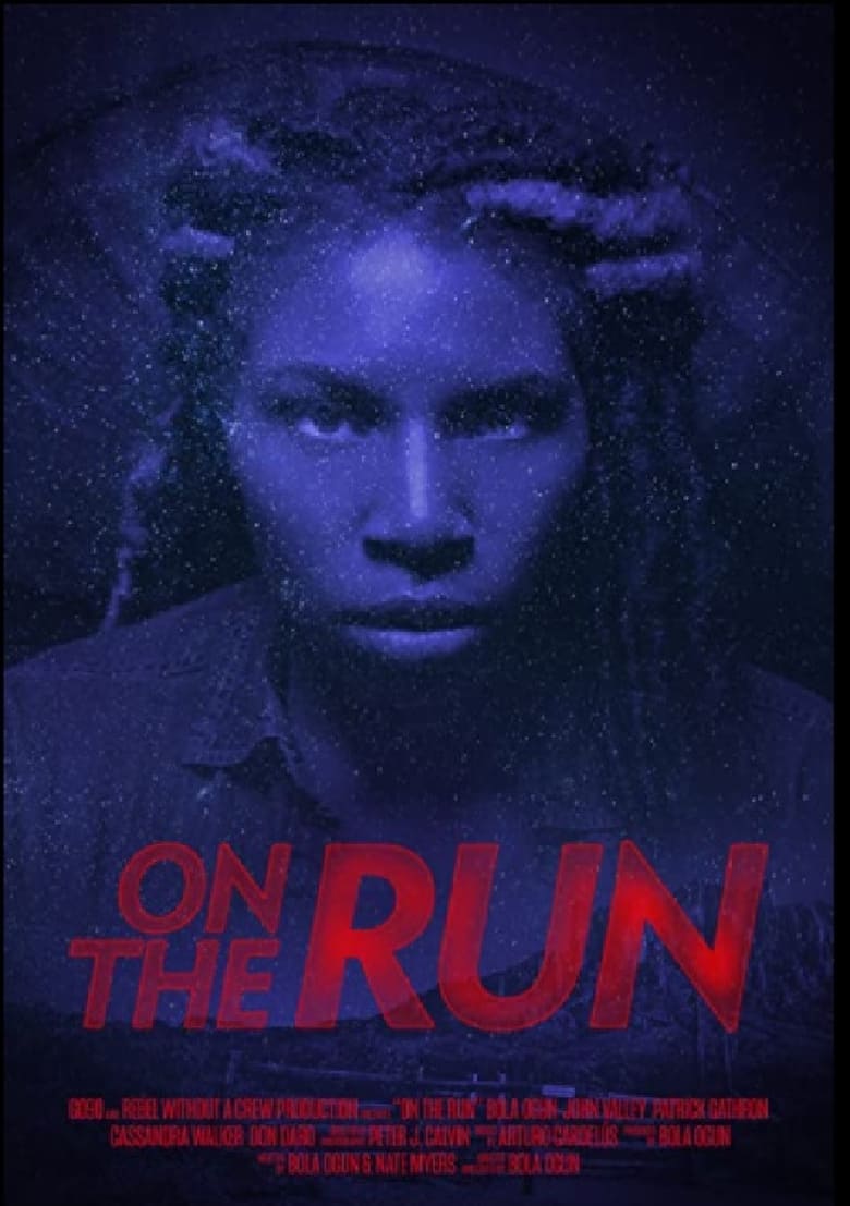 Poster of On The Run