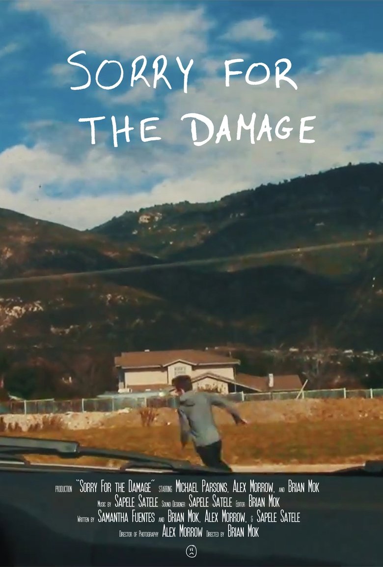 Poster of Sorry For the Damage