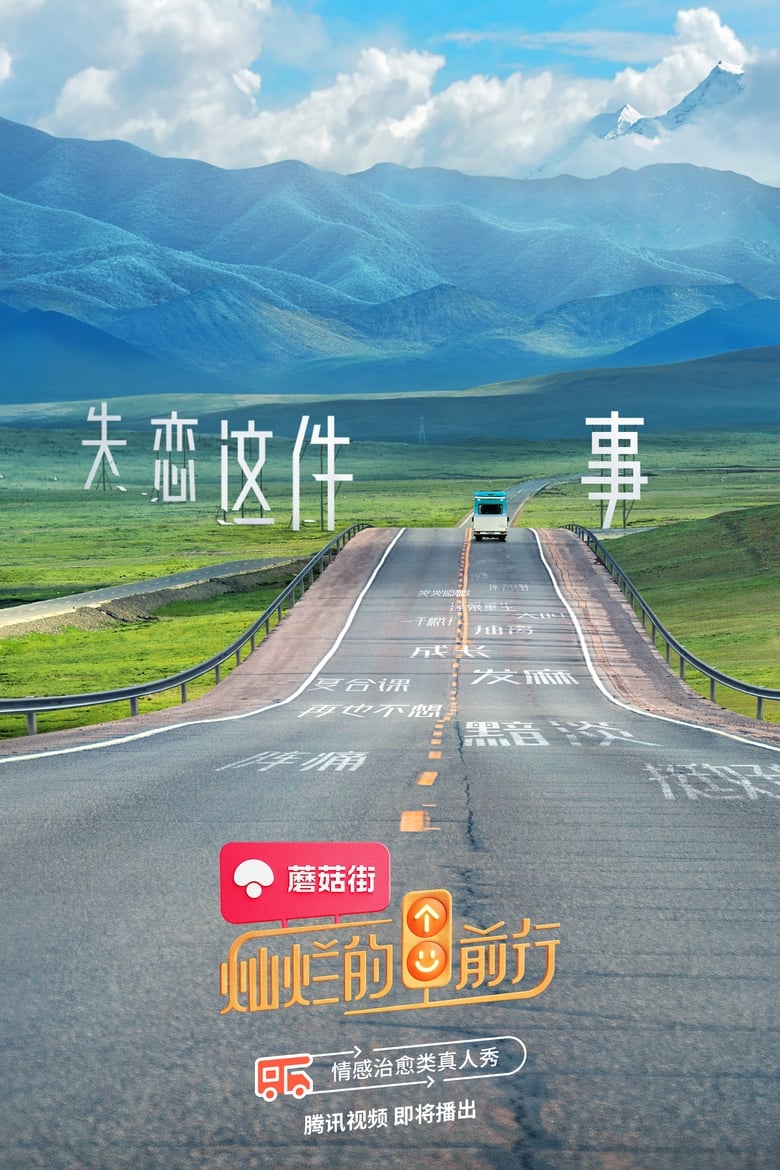 Poster of 灿烂的前行