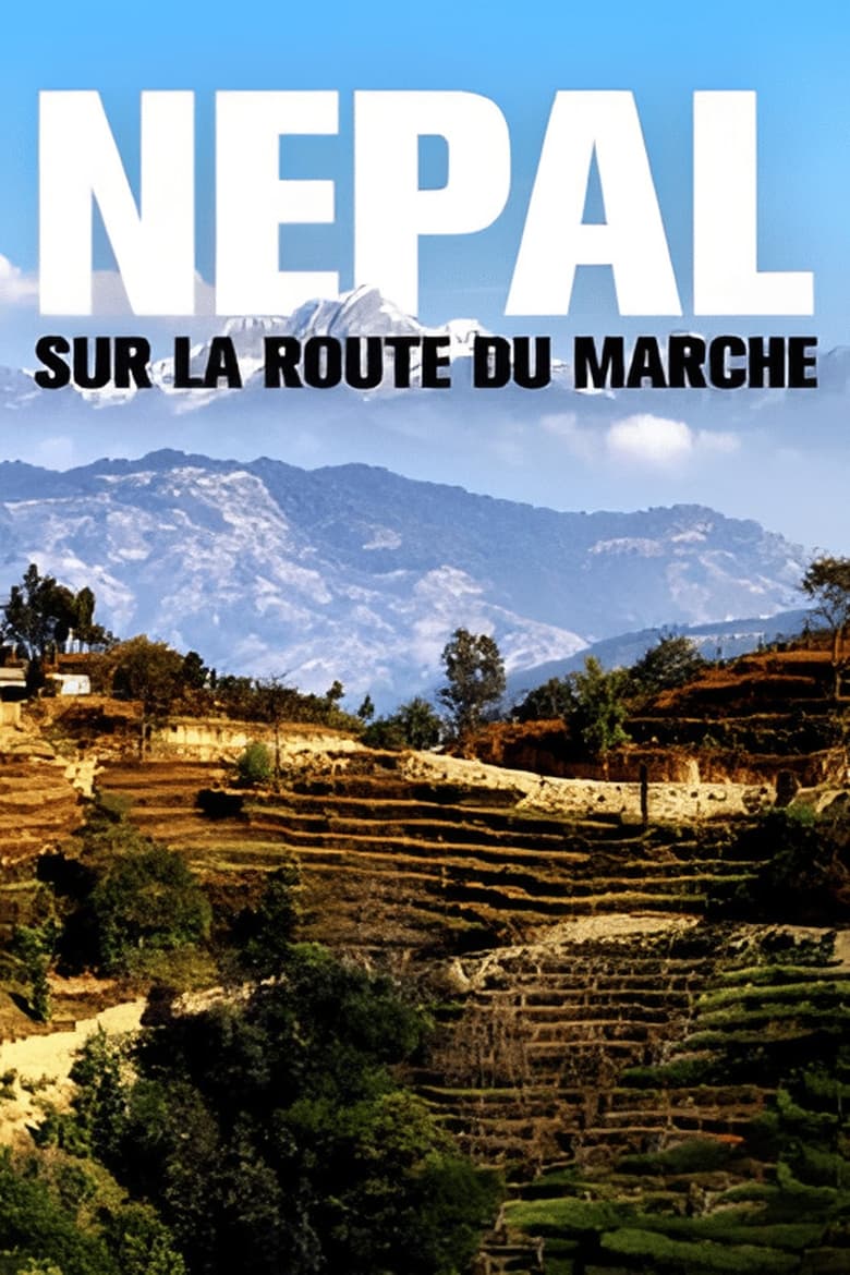 Poster of Népal : sur la route du marché