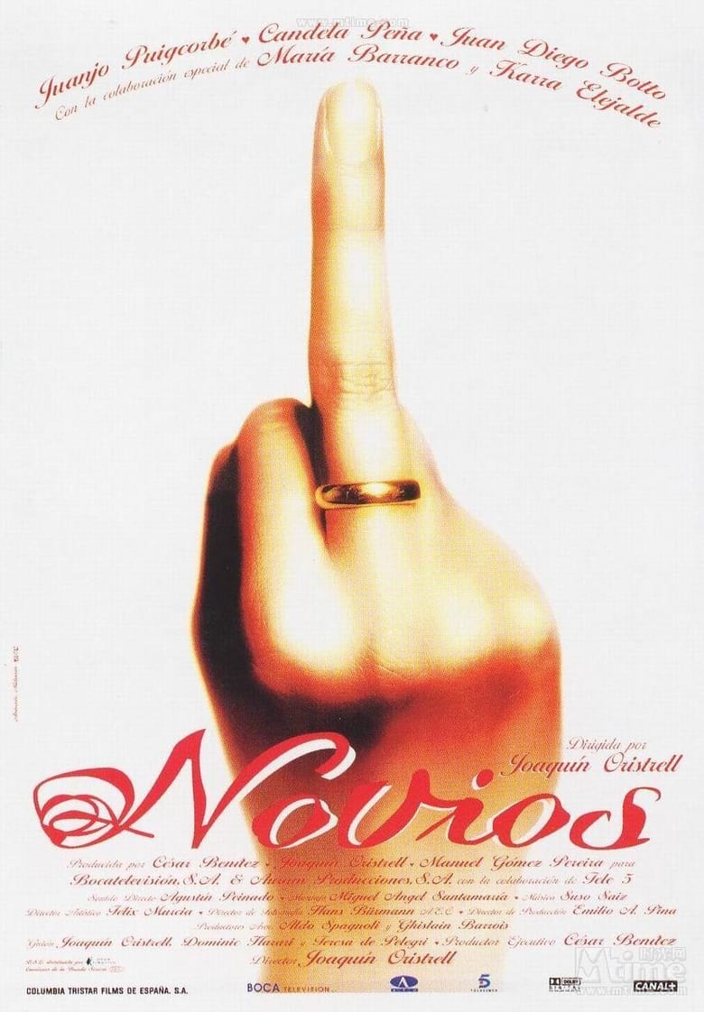 Poster of Novios