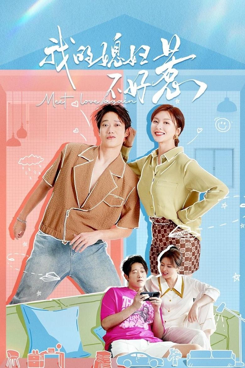 Poster of Meet Love Again