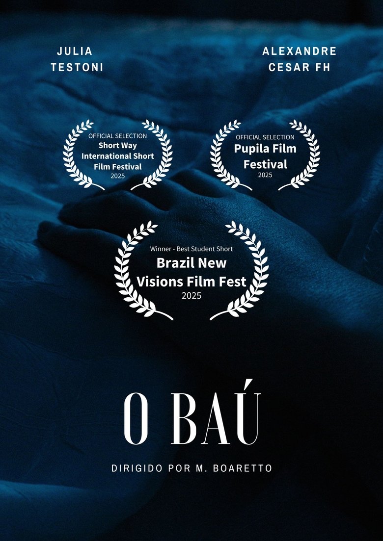 Poster of O Baú