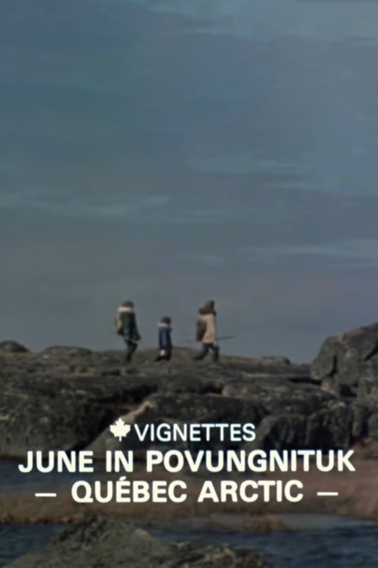 Poster of Canada Vignettes: June in Povungnituk - Quebec Arctic