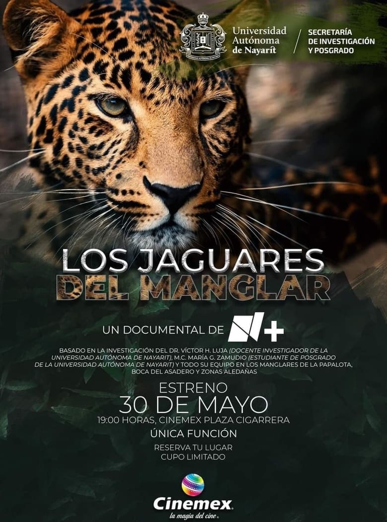 Poster of Los Jaguares del Manglar