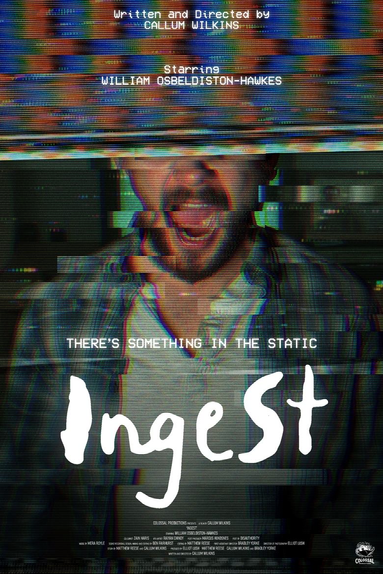 Poster of Ingest