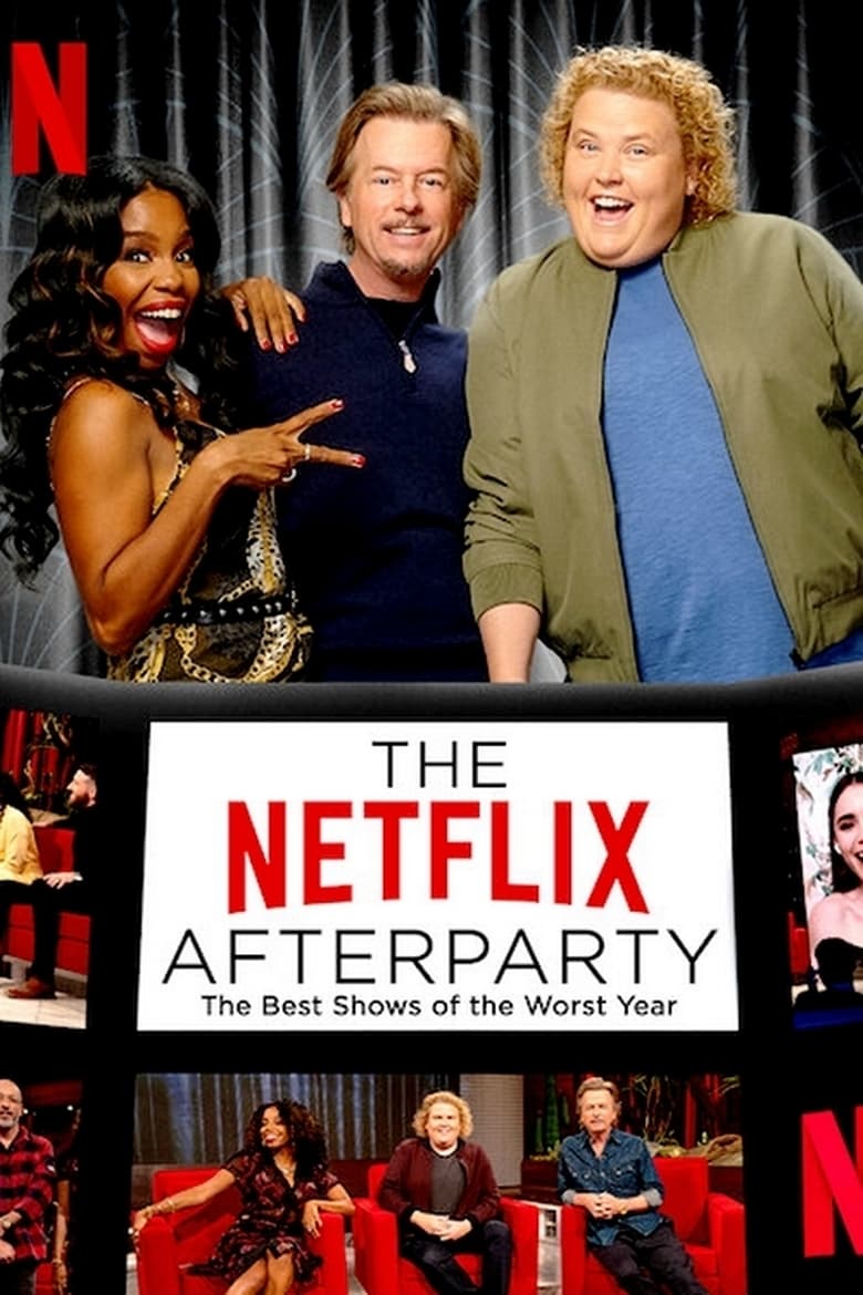 Poster of The Netflix Afterparty: The Best Shows of The Worst Year