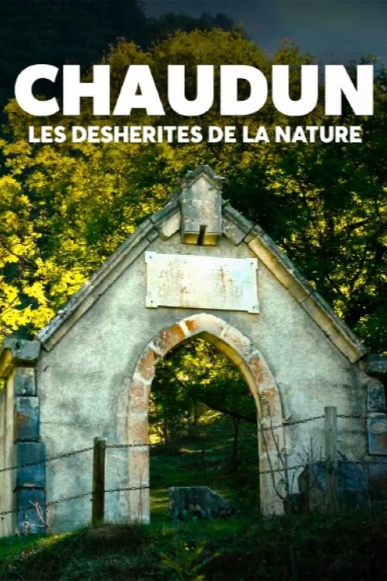 Poster of Chaudun, les déshérités de la nature