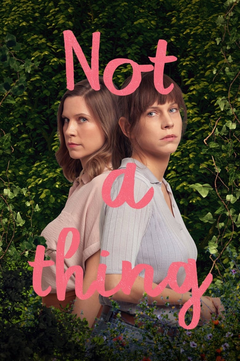 Poster of Not A Thing