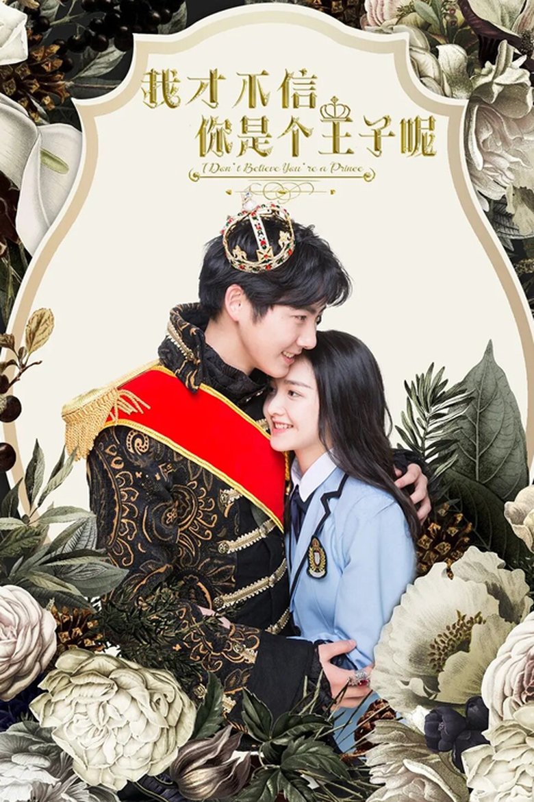 Poster of I Don't Believe You're a Prince