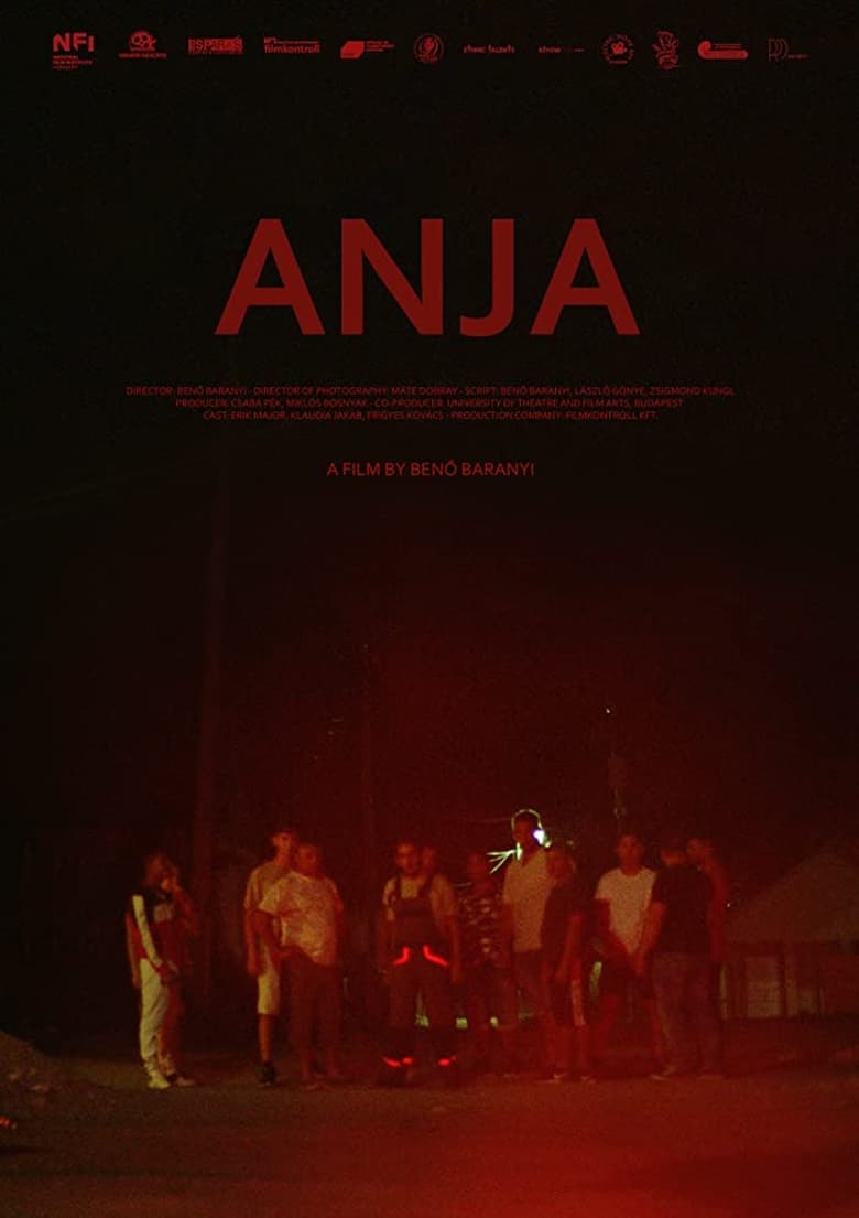 Poster of Anja