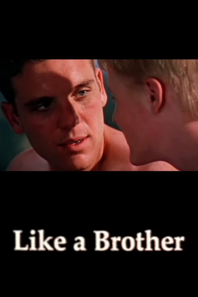 Poster of Like a Brother