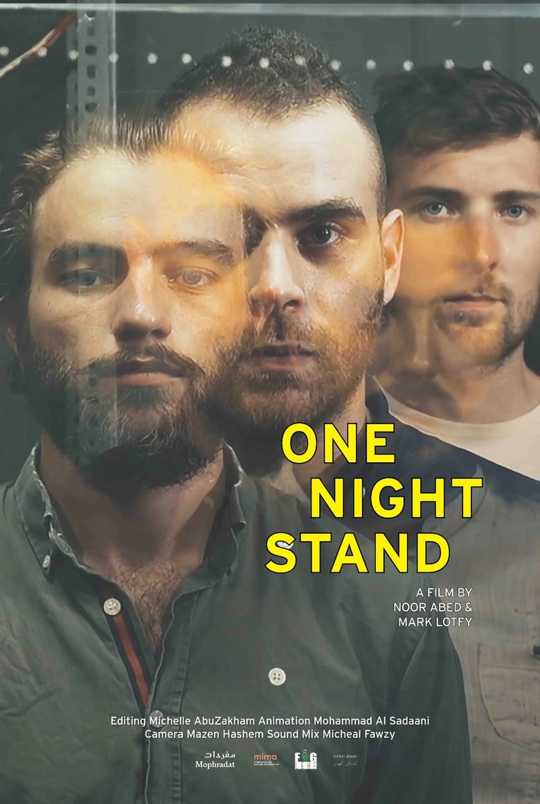 Poster of One Night Stand