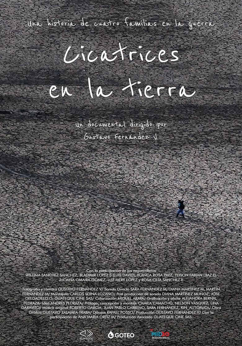 Poster of Cicatrices en la tierra