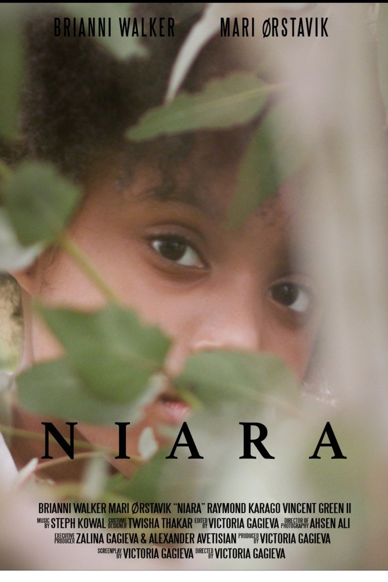 Poster of Niara