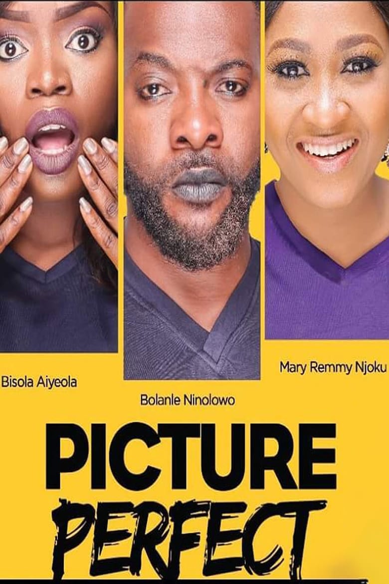 Poster of Picture Perfect