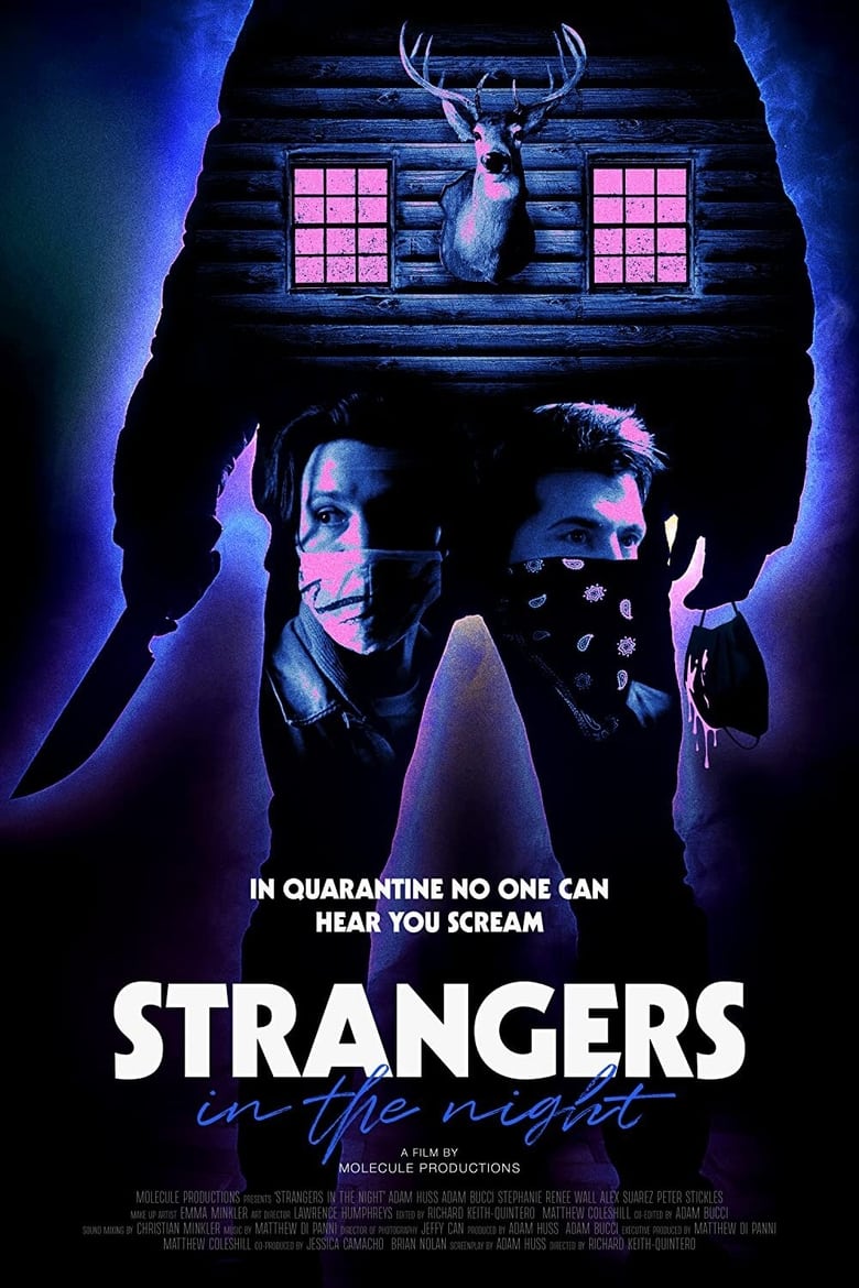 Poster of Strangers in the Night