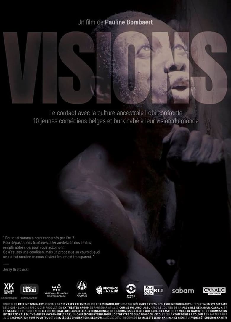 Poster of Visions