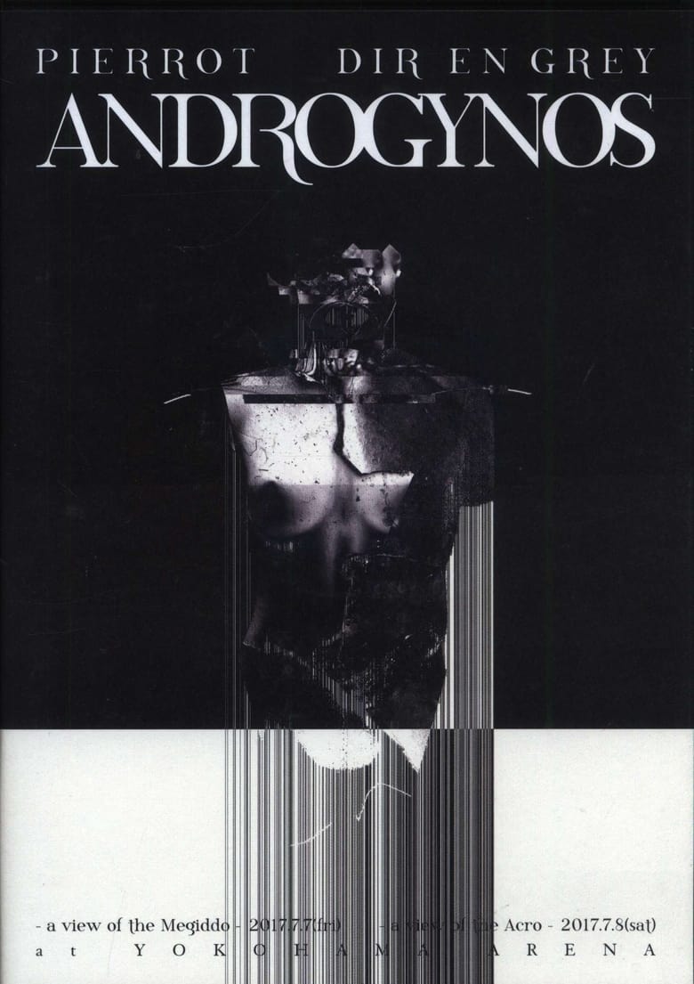 Poster of Androgynos