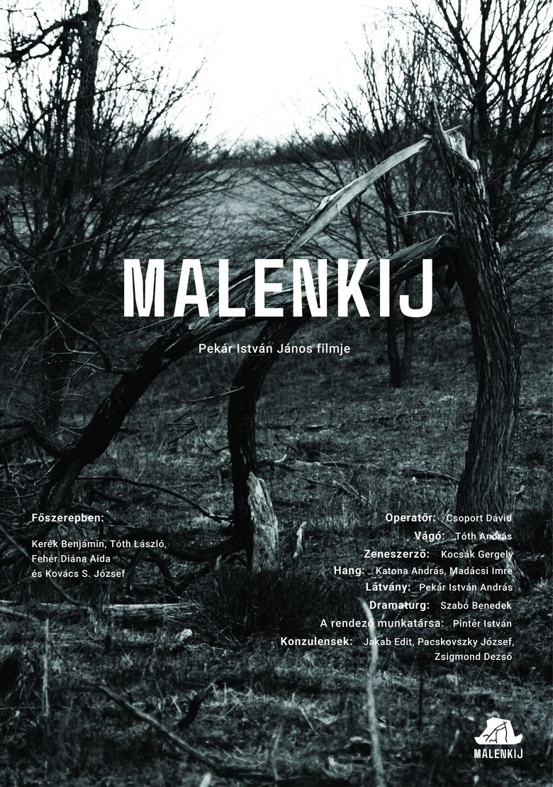 Poster of Malenkij