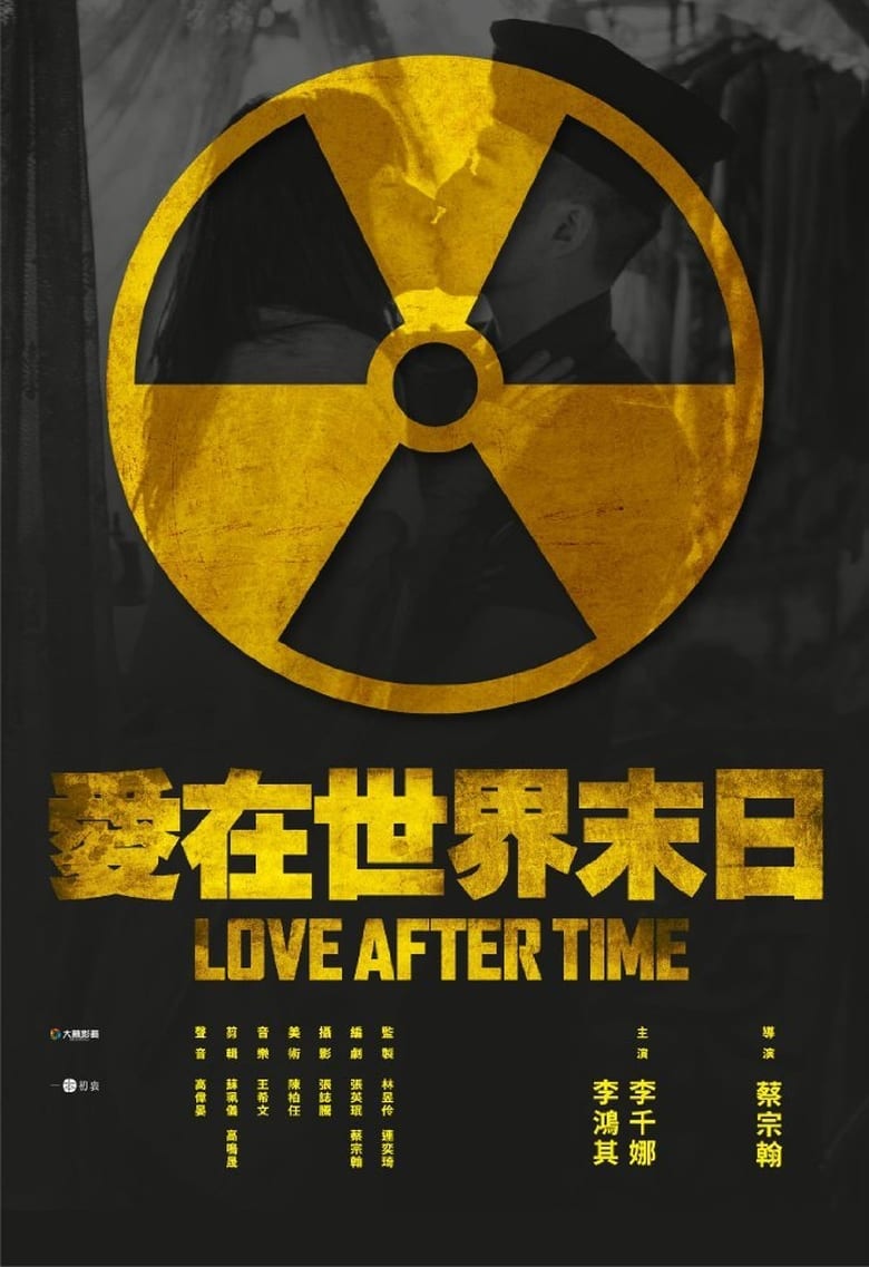 Poster of Love After Time