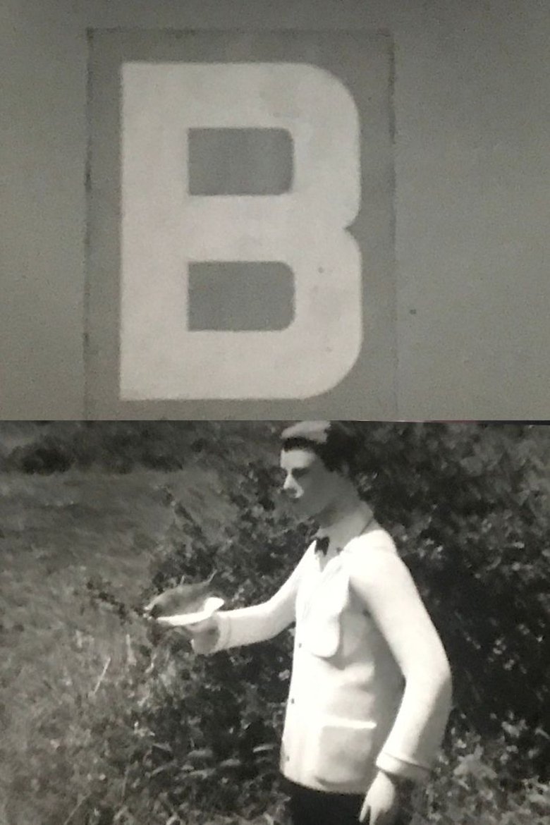 Poster of B