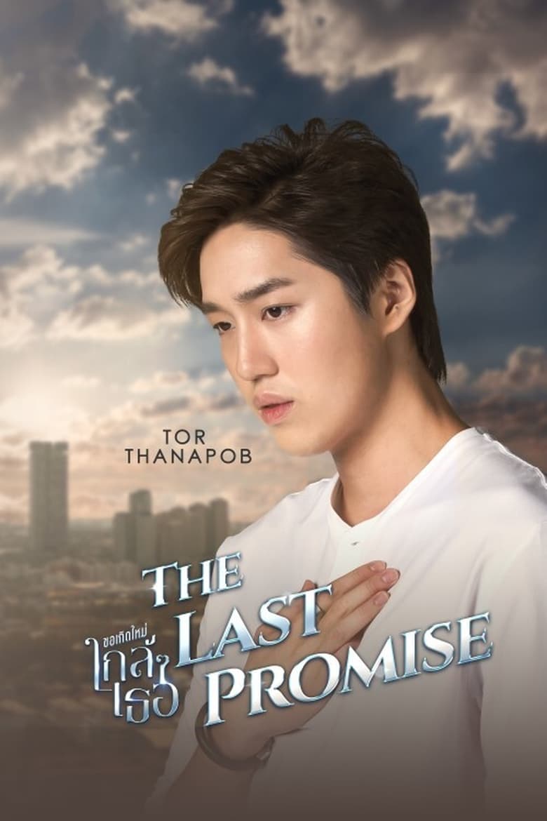 Poster of The Last Promise