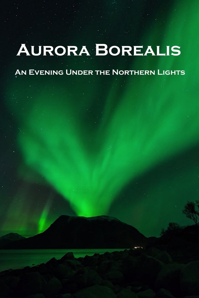 Poster of Aurora Borealis: An Evening under the Northern Lights