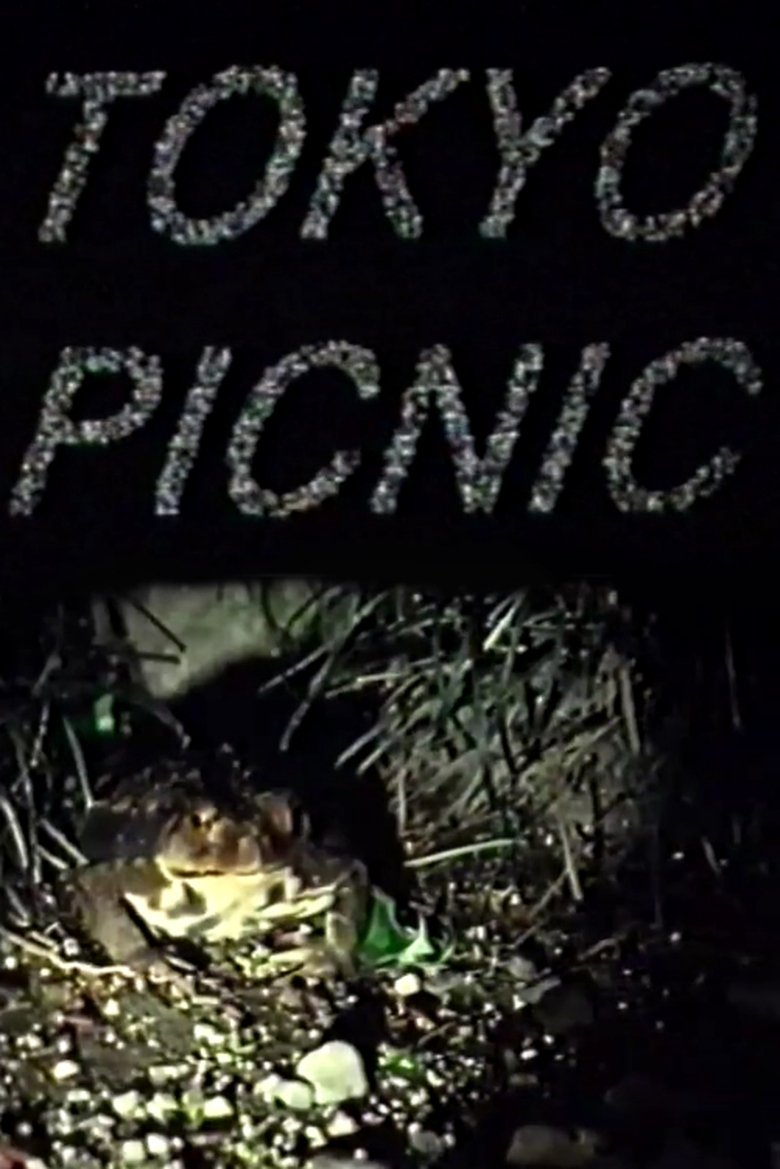 Poster of Tokyo Picnic