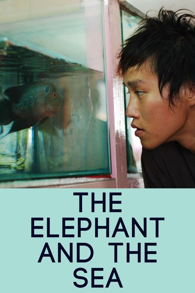 Poster of The Elephant and the Sea