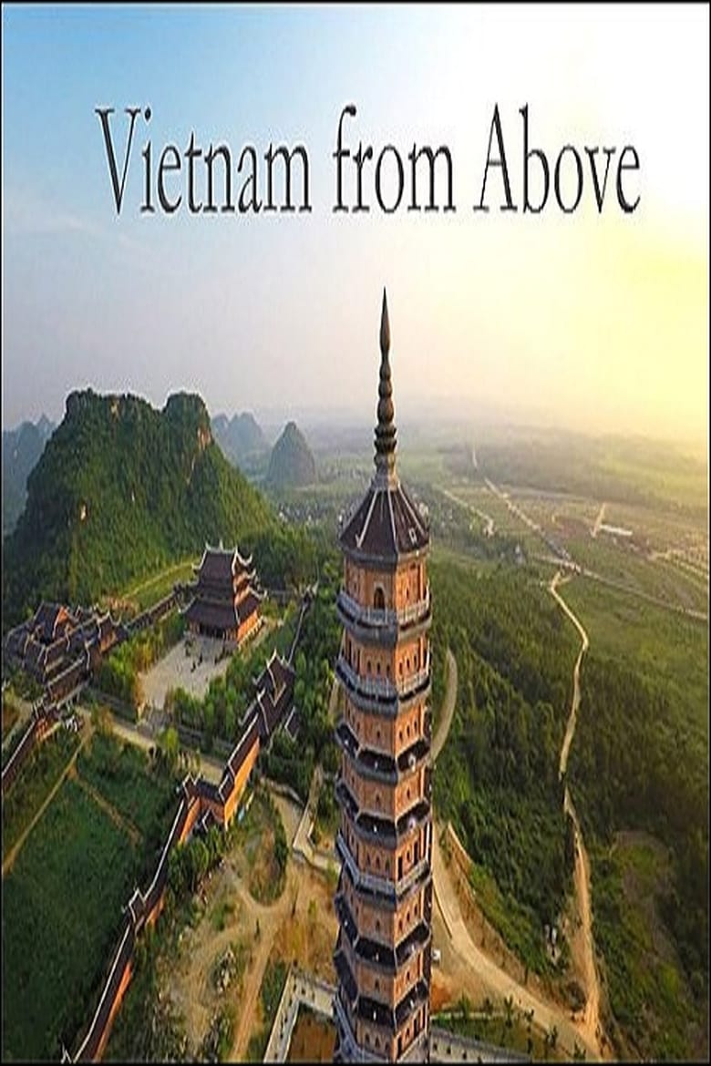 Poster of Vietnam from Above