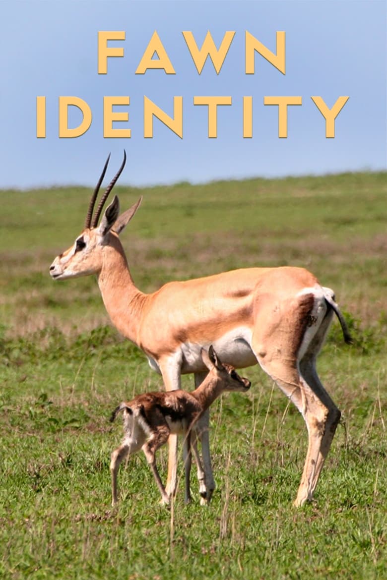 Poster of Fawn Identity