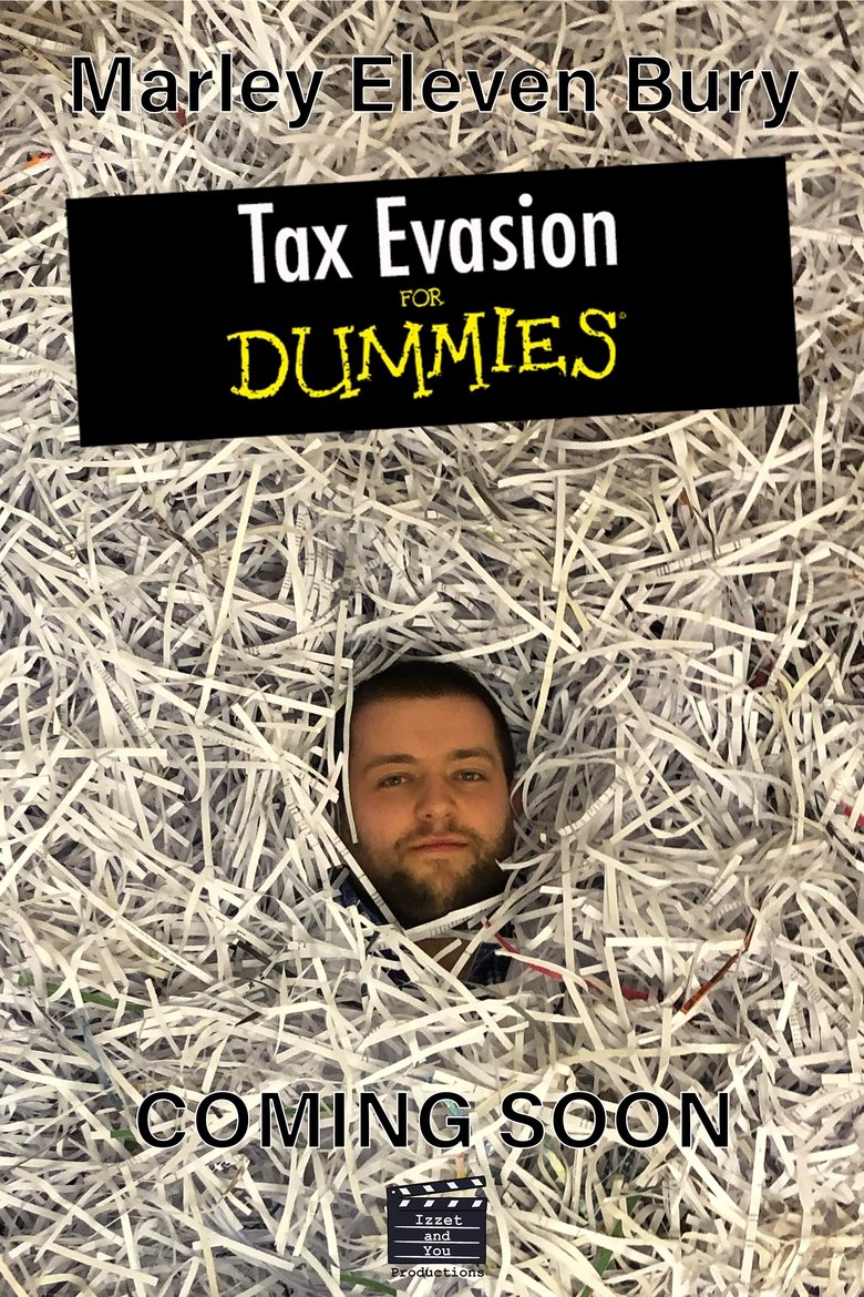 Poster of Tax Evasion for Dummies