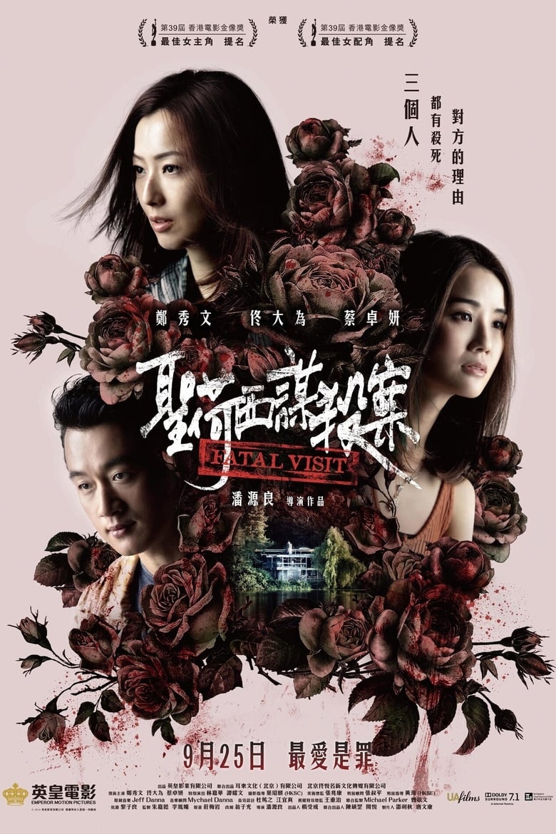 Poster of Fatal Visit