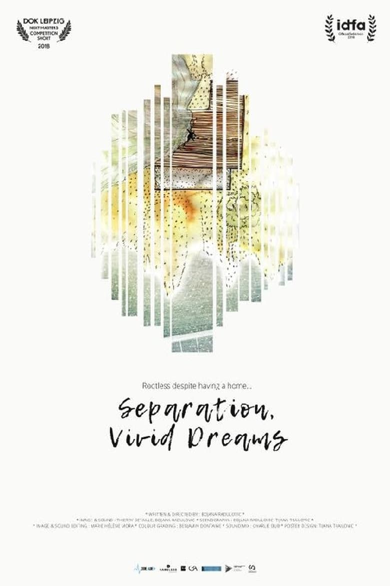 Poster of Separation, Vivid Dreams