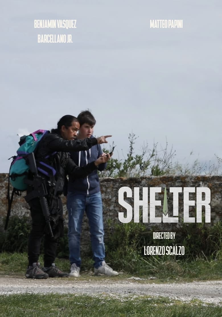 Poster of Shelter