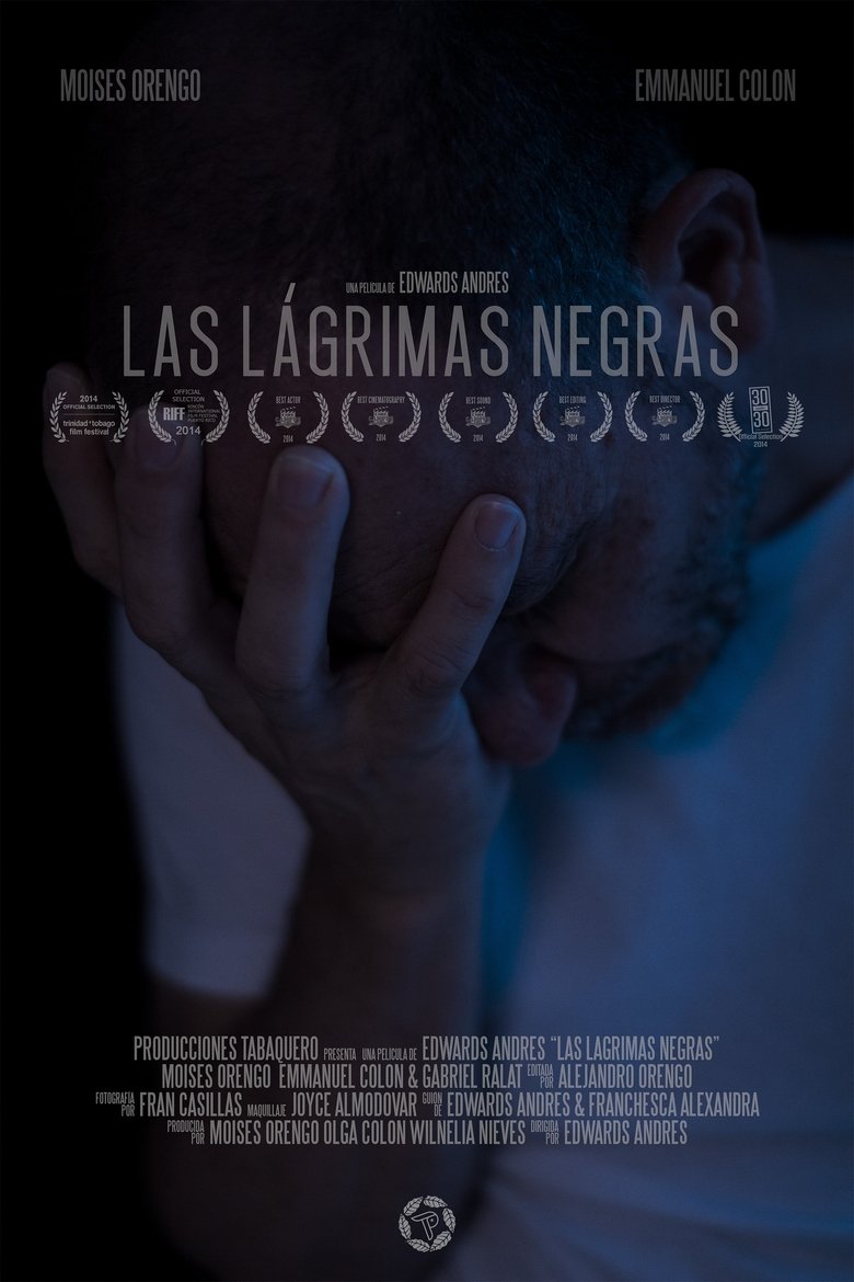 Poster of The Obsidian Tears