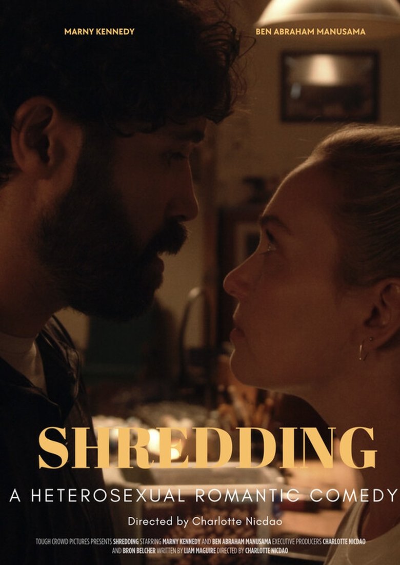 Poster of Shredding