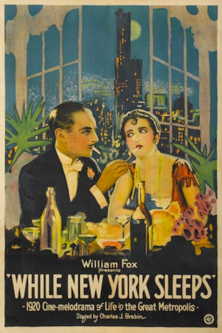 Poster of While New York Sleeps